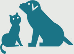 取りで探す